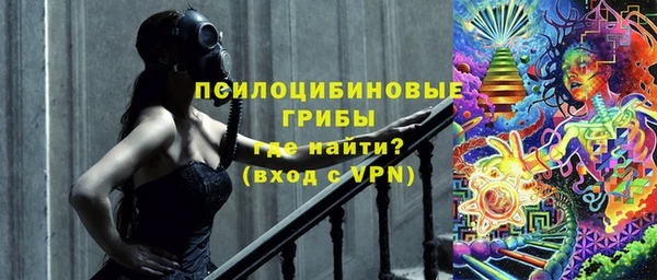 стаф Волоколамск