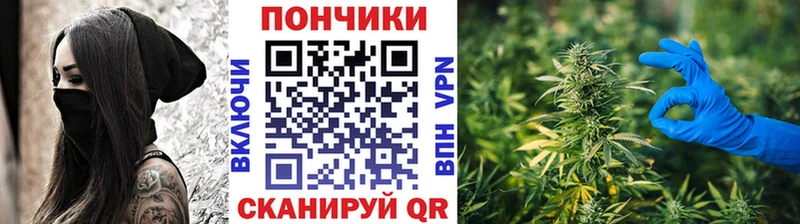 МЕГА ссылка  мориарти как зайти  Зеленогорск  Марихуана SATIVA & INDICA  купить наркоту 